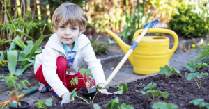 Como ter uma Horta Orgânica em casa