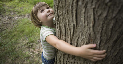 Abraçar árvores realmente pode curar doenças, revelam cientistas