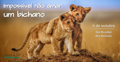 4 de outubro - Dia Mundial dos Animais